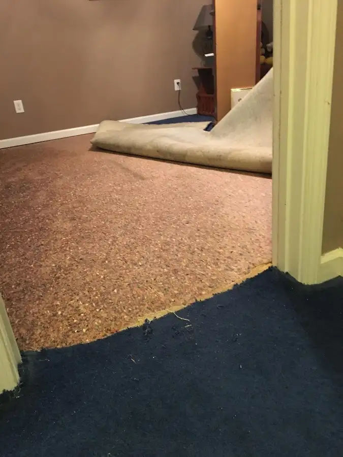 Carpet pad removal revealing water damage during Water Mitigation Services in Lehi