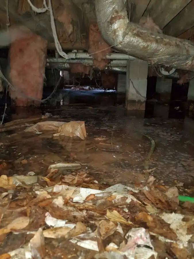 Crawl space flood assessment for Leak Detection & Repair in Lehi